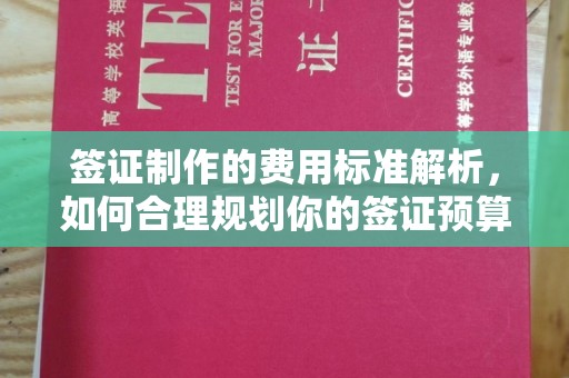 荣县签证制作的费用标准解析，如何合理规划你的签证预算