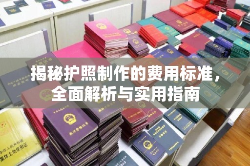 荣县揭秘护照制作的费用标准，全面解析与实用指南