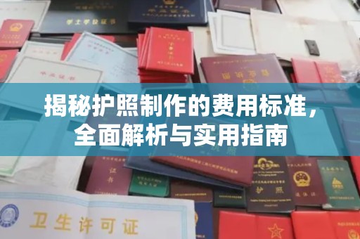 荣县揭秘护照制作的费用标准，全面解析与实用指南